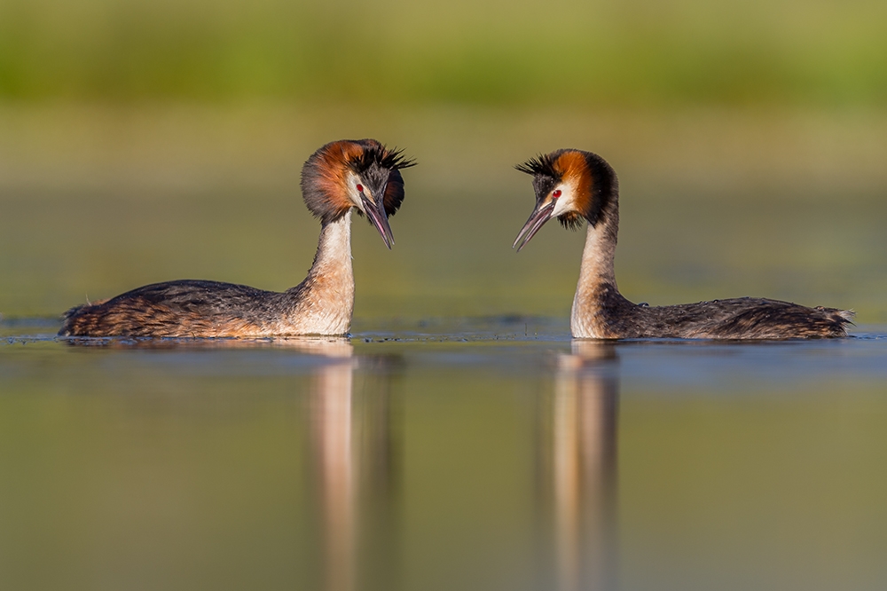 The birth of a new generation