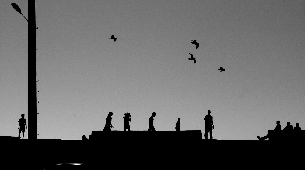 The Shadows of the Cave (Plato)