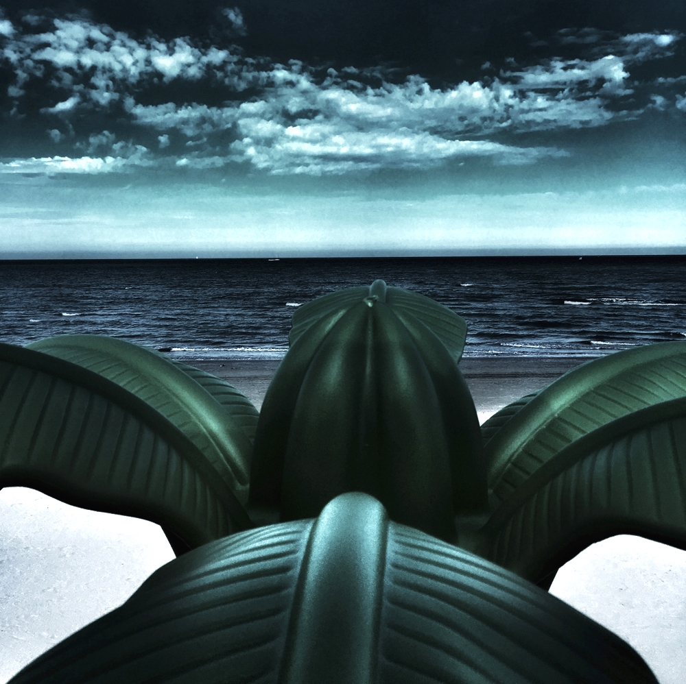 Odyssey of Abandonment