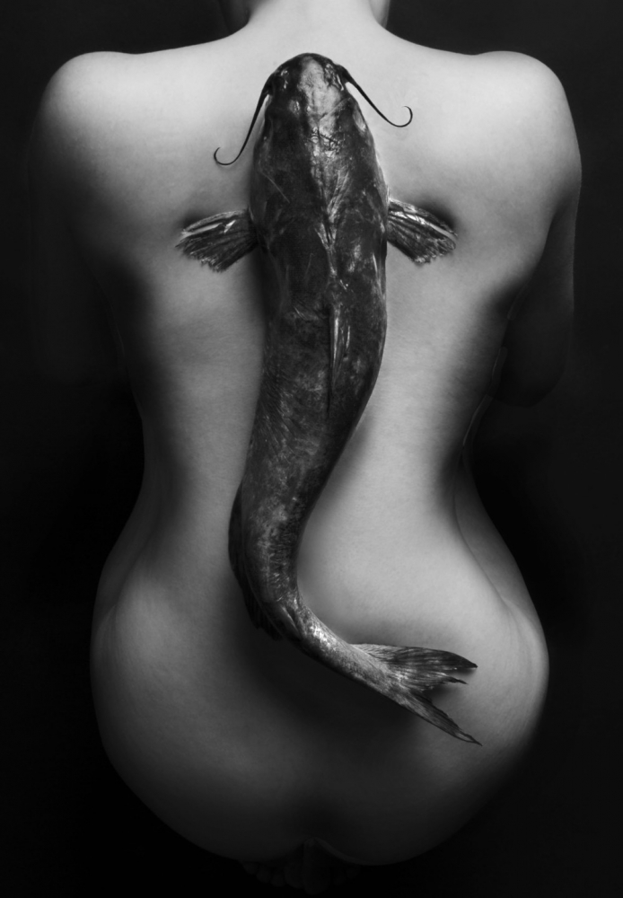 Octobody