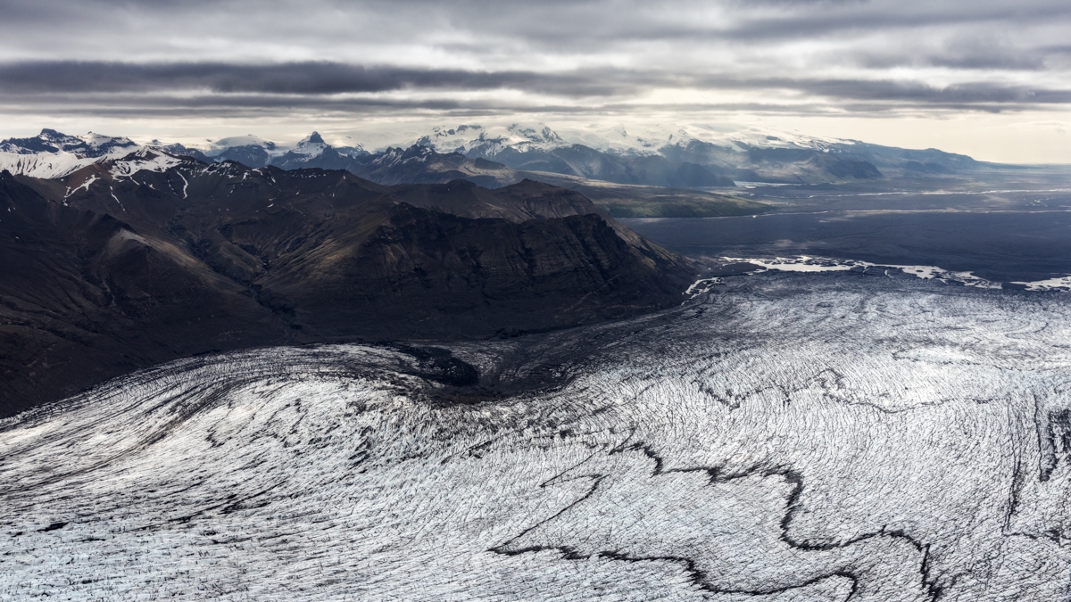 Artic Guardians