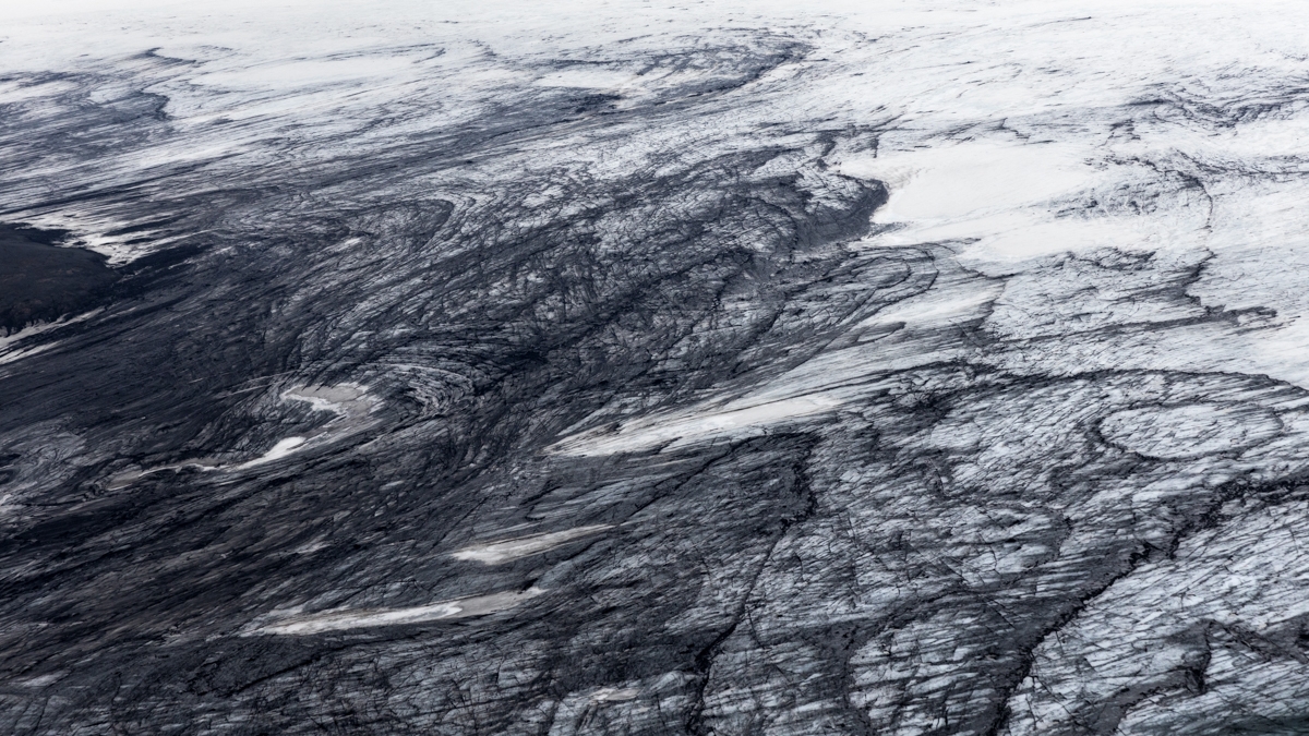 Artic Guardians