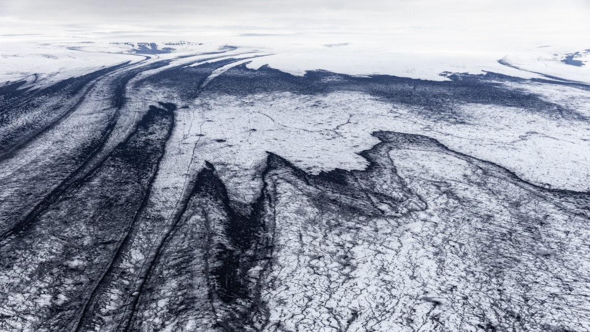 Artic Guardians