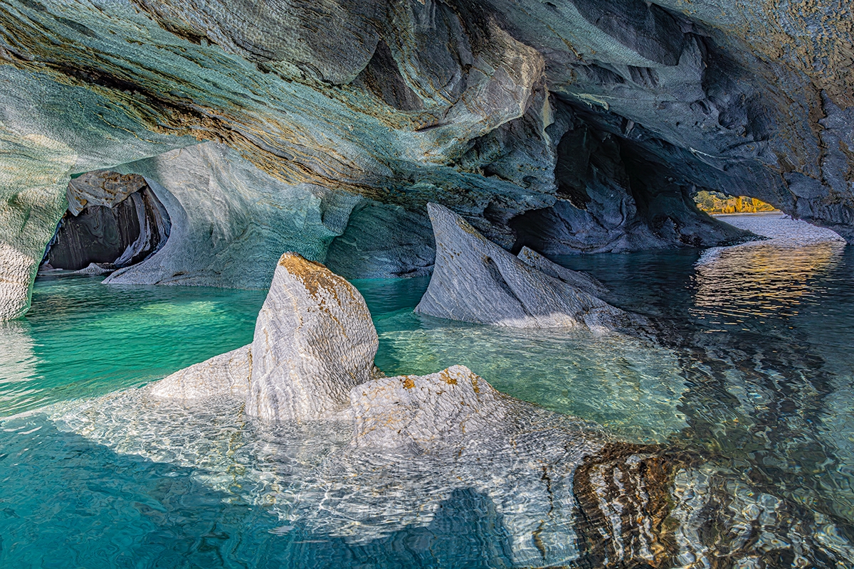 Sharks with Fall Foliage