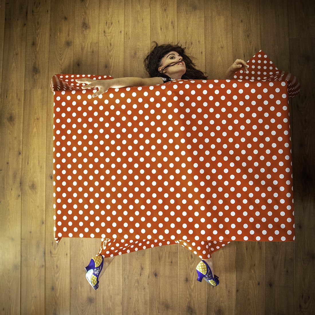 Chorégraphies domestiques