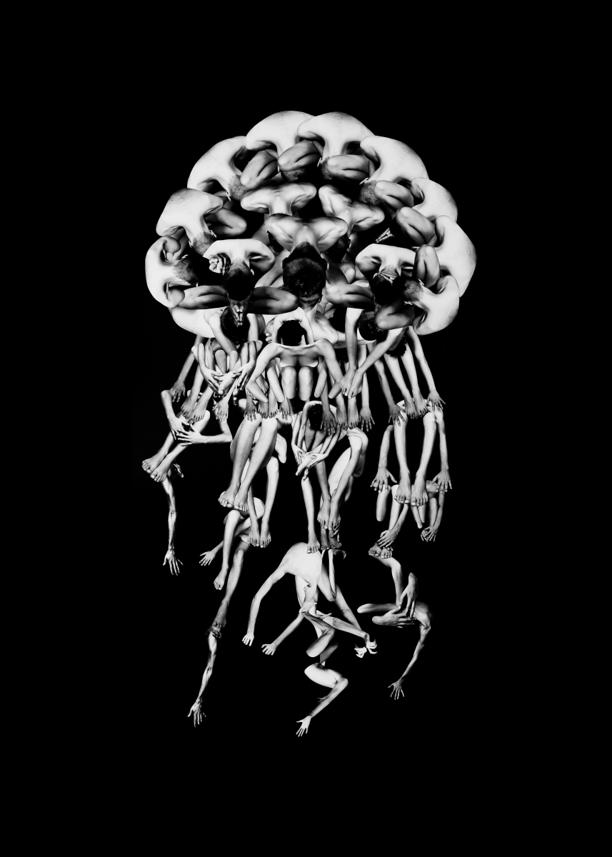 HOMEOSTASIS  -Amorphea-