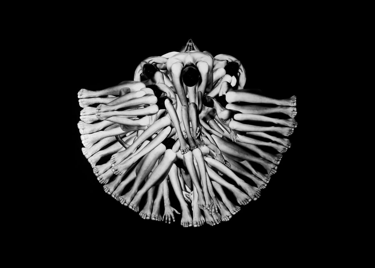 HOMEOSTASIS  -Amorphea-