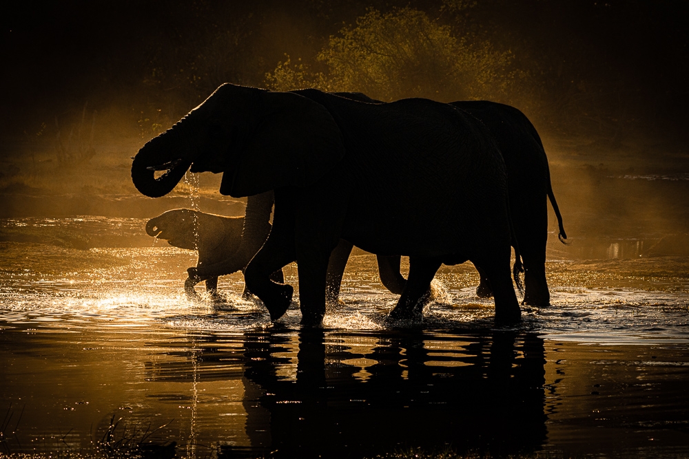 Family sundowner drink