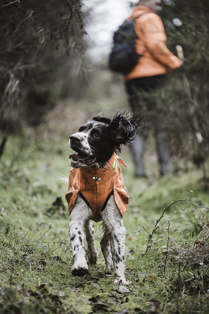 Hunting in this world of activism