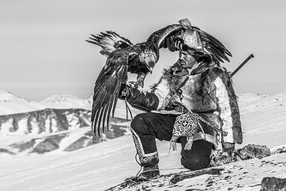 Mongolian Winter Migration