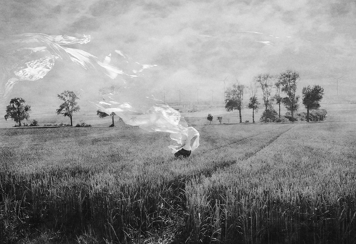 Wandering In The Fields