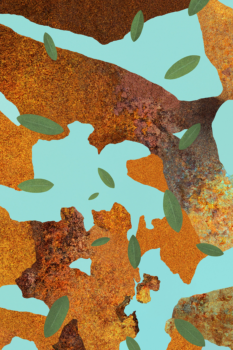 Blue Sky, Brown Earth, Green Leaves; Overlay Rusted Iron and Chipped Green Paint