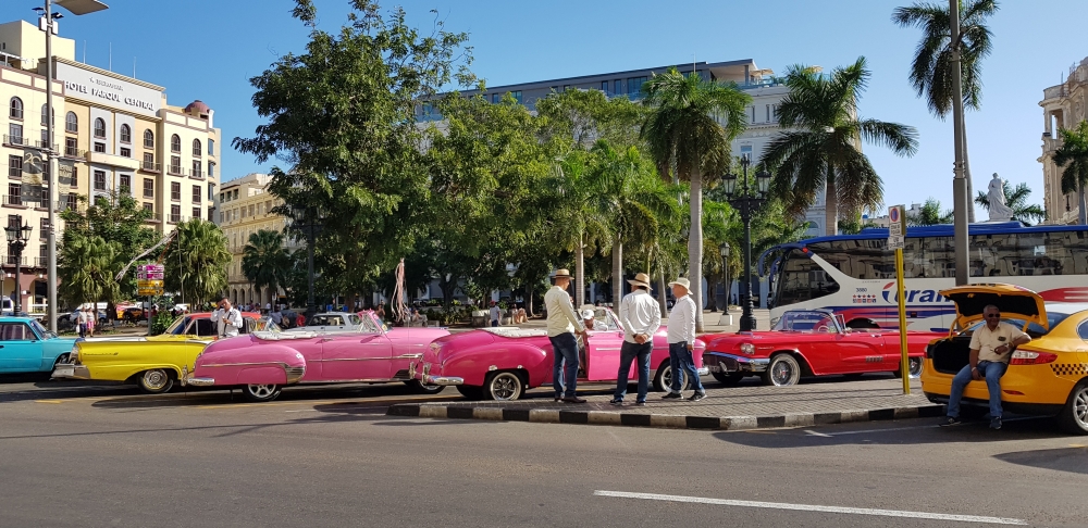 Last Century American Automobile Dreams 