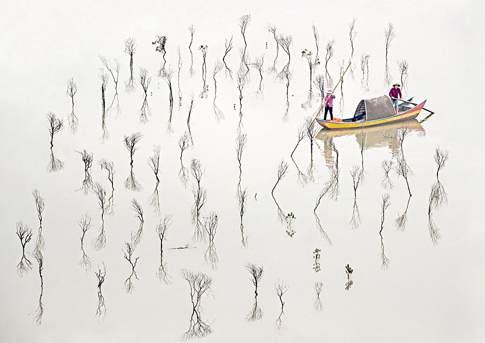 Fisherman  of the Mangrove Swamp