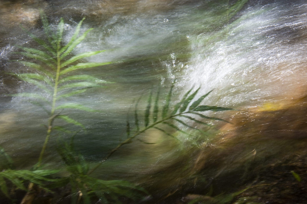 Transient Waters
