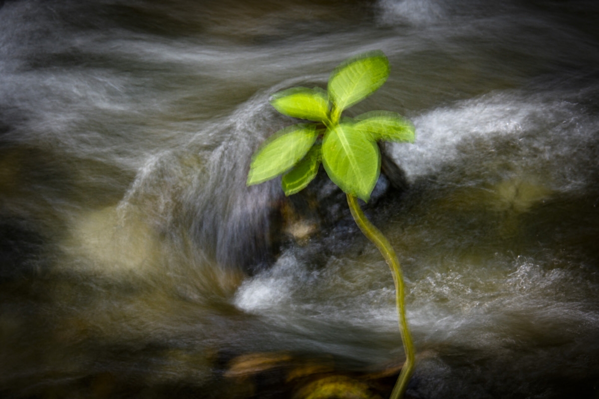 Transient Waters
