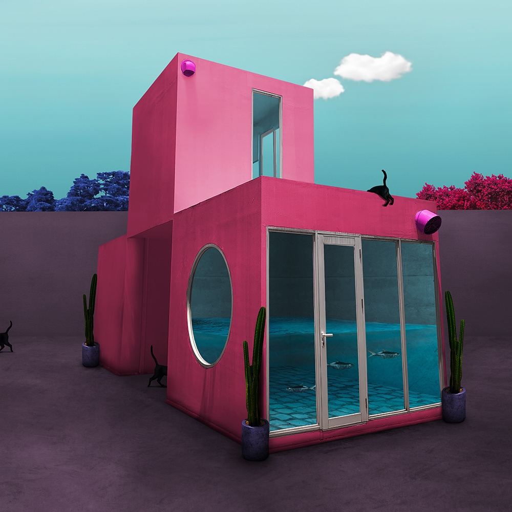 Cats Never Knocking On The Door