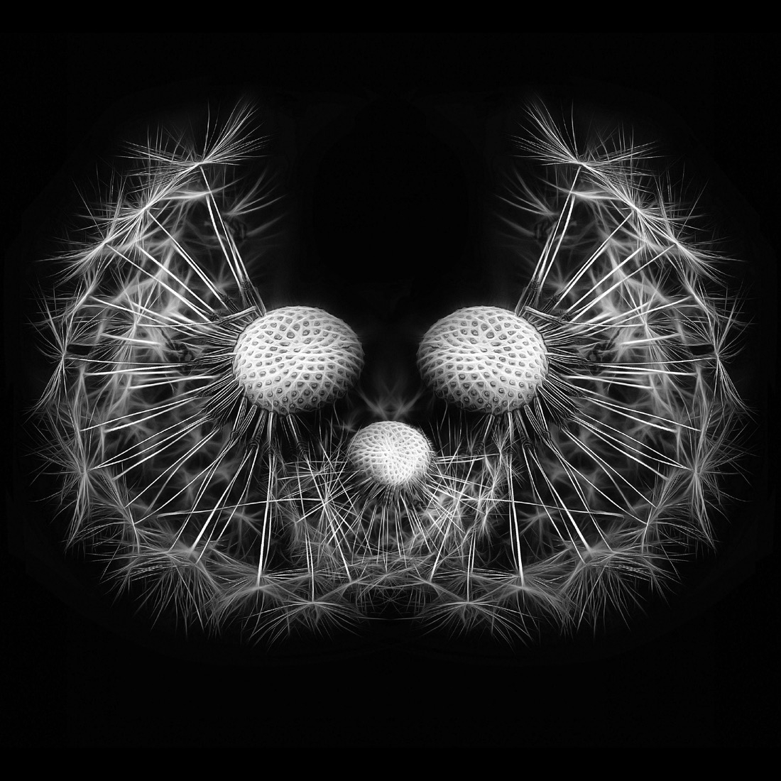 The Vegetable Creatures (PMO)