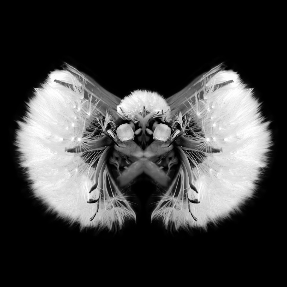 The Vegetable Creatures (PMO)