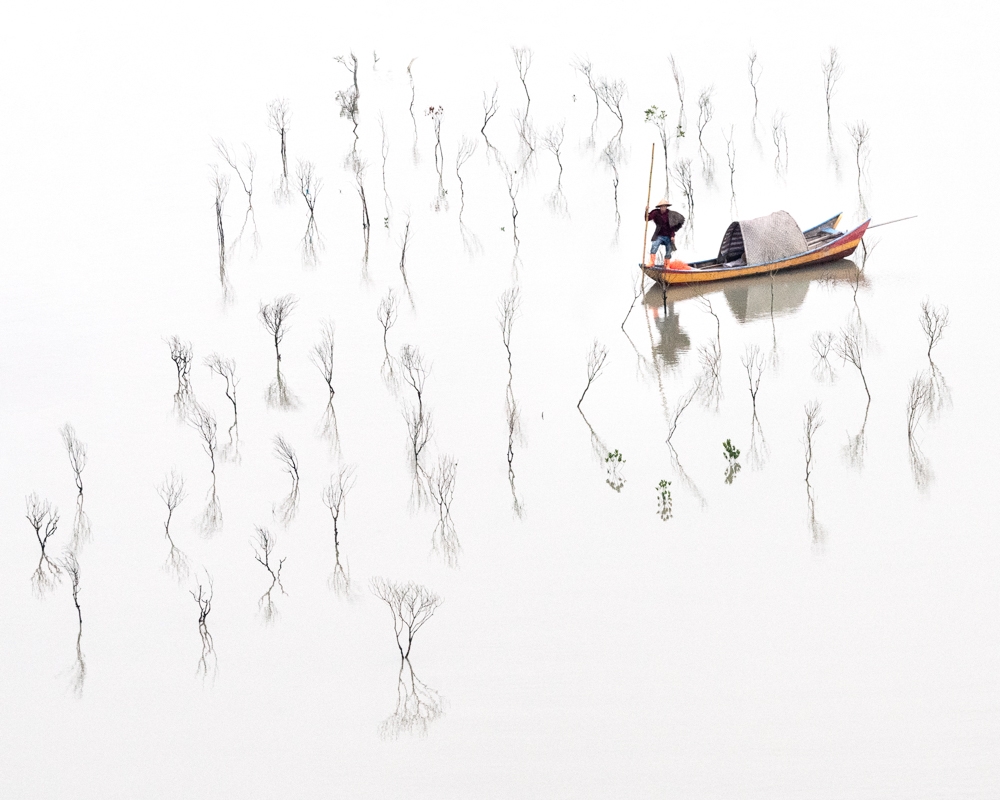 In the Mangroves