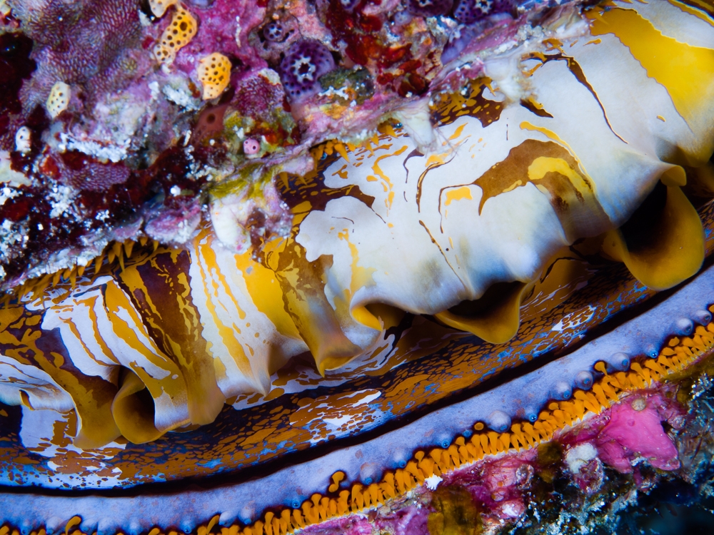 On the same wavelength