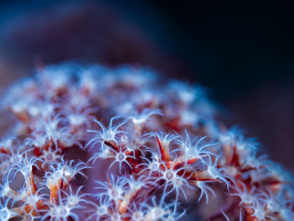 On the same wavelength