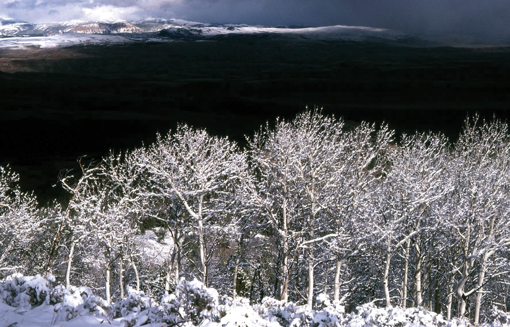 A Winter's Day
