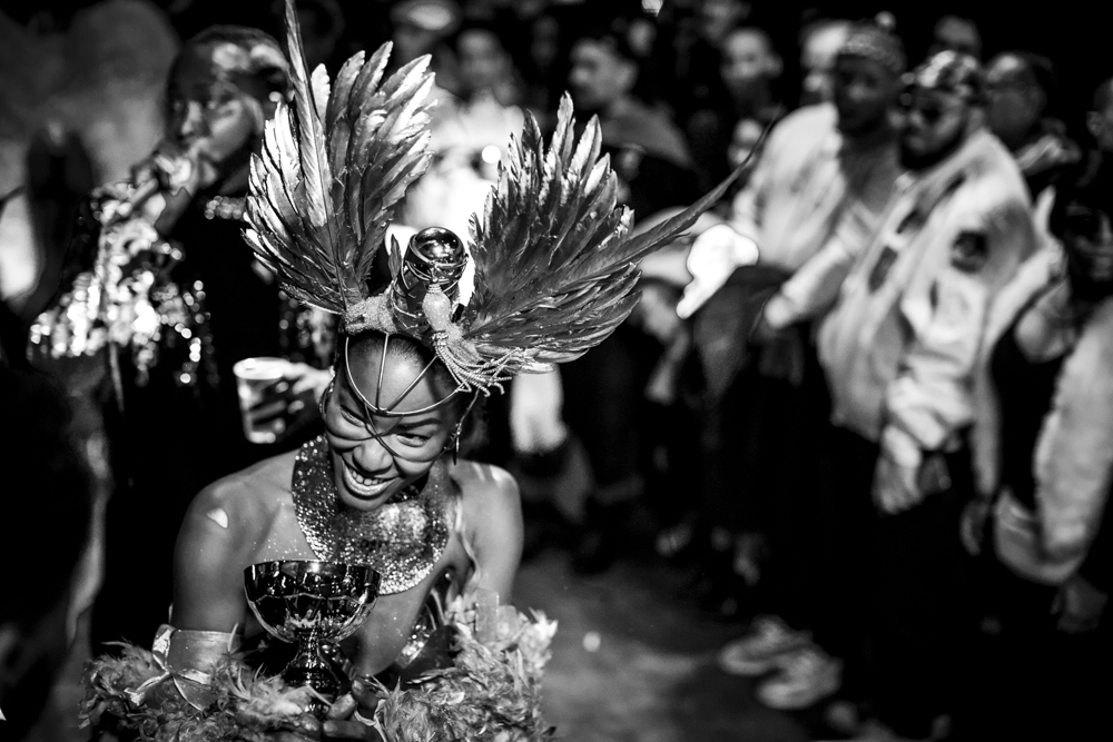 Un voyage au pays des merveilles.