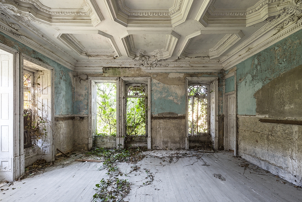 Naturalia: Chronicle of Contemporary Ruins