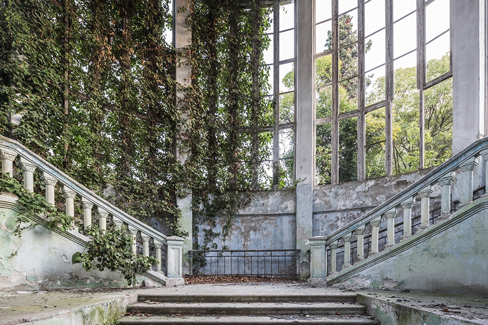 Naturalia: Chronicle of Contemporary Ruins