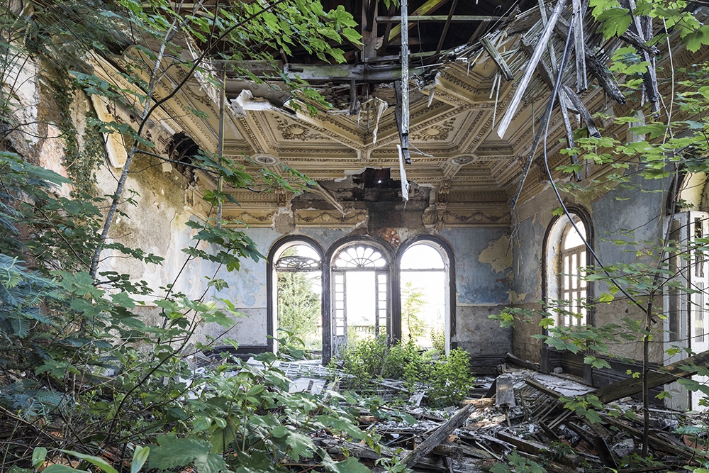 Naturalia: Chronicle of Contemporary Ruins