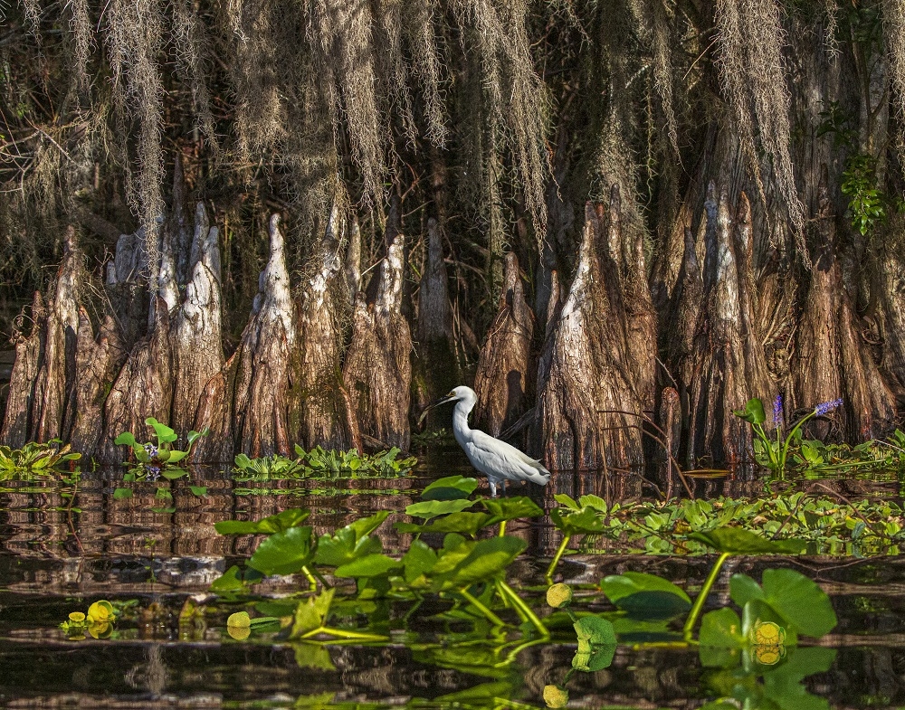 A CANOE EYE VIEW