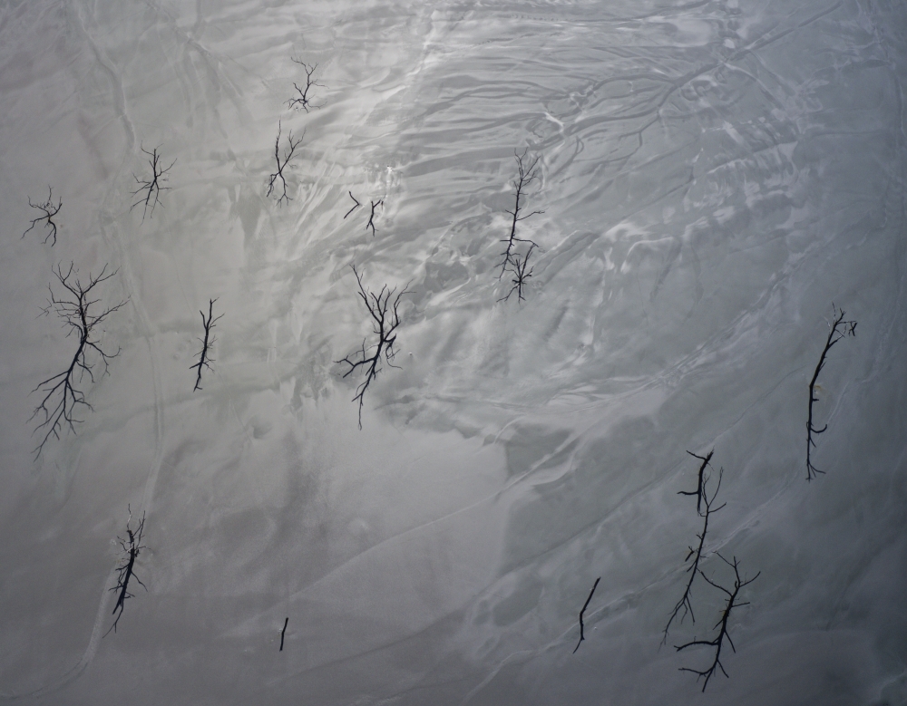 Ambiguous Beauty - Altered Landscapes 