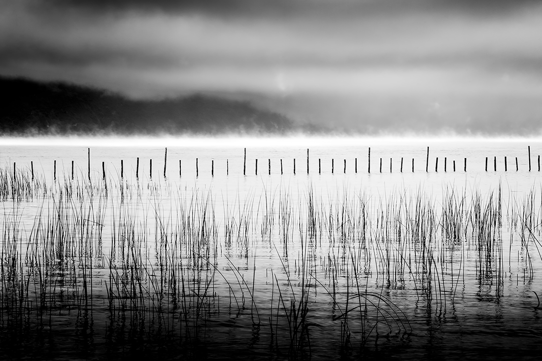 The contrasts of the lake