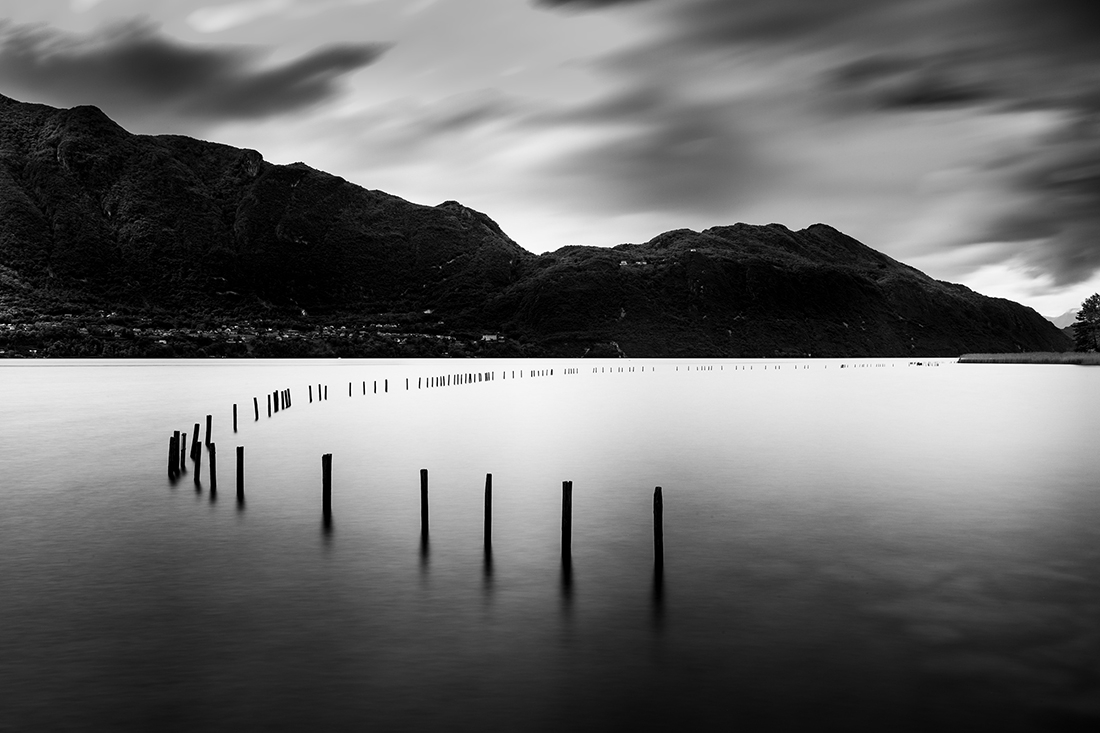 The contrasts of the lake