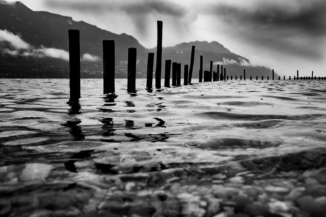 The contrasts of the lake