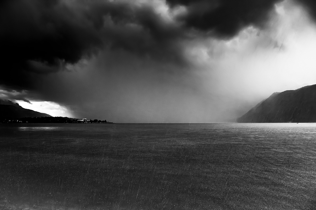 The contrasts of the lake
