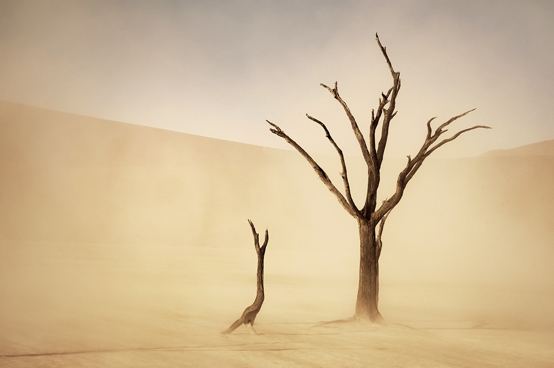 Sossusvlei Sandstorm