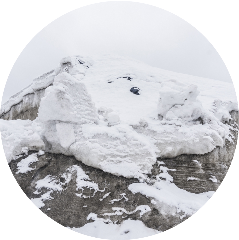 Supermarket Landscape