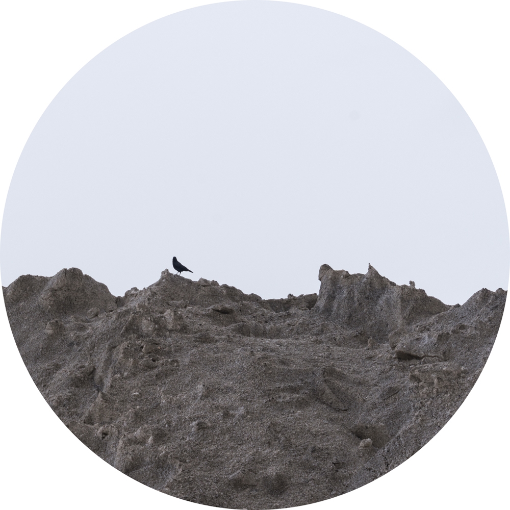 Supermarket Landscape