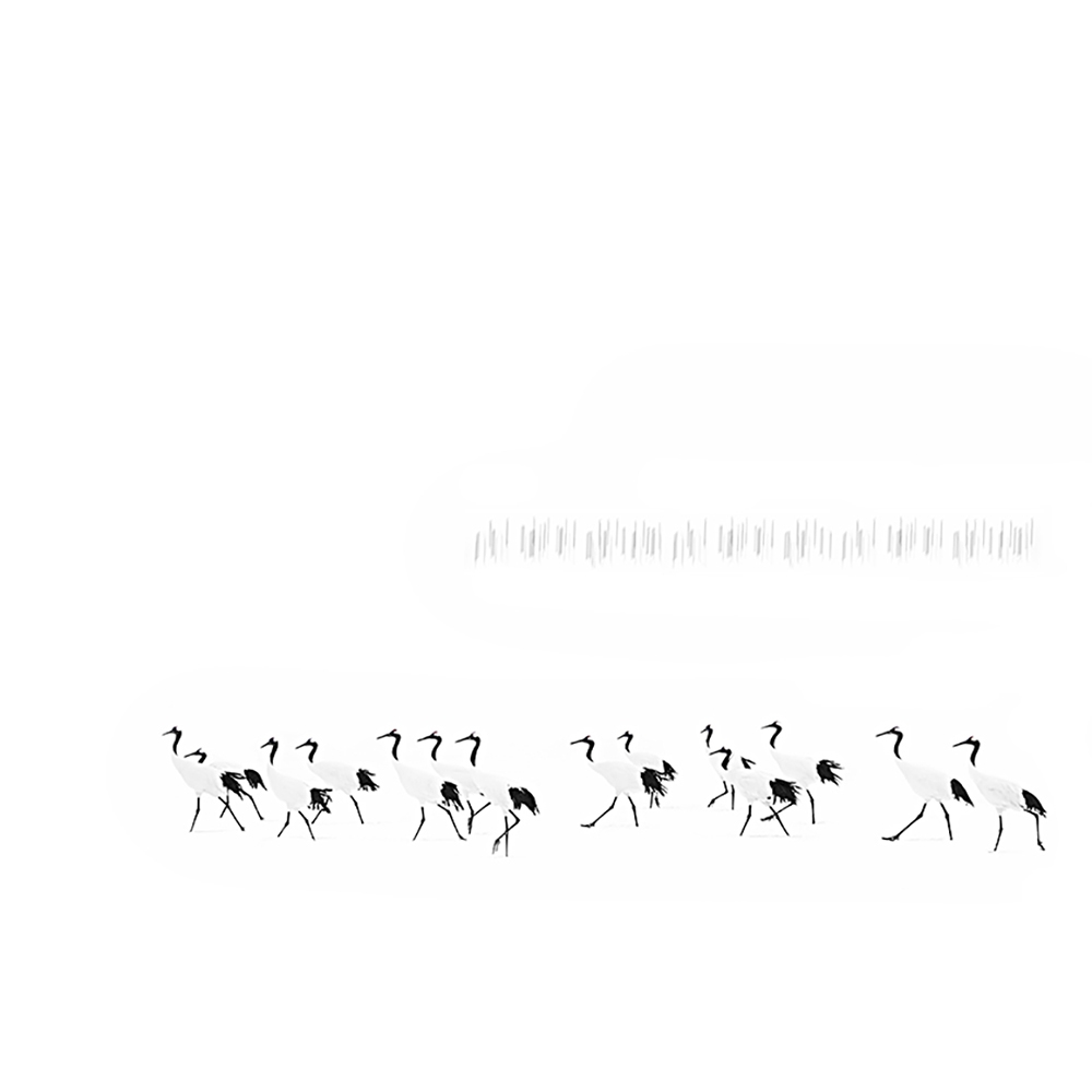 Минимализм в дикой природе