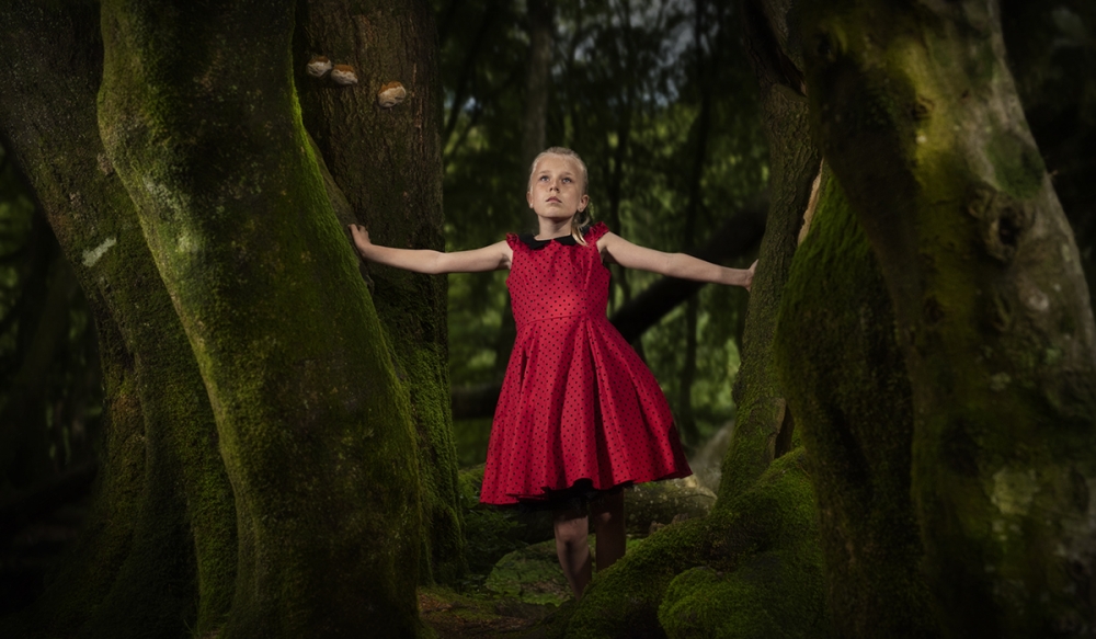 Girl in the magic forest