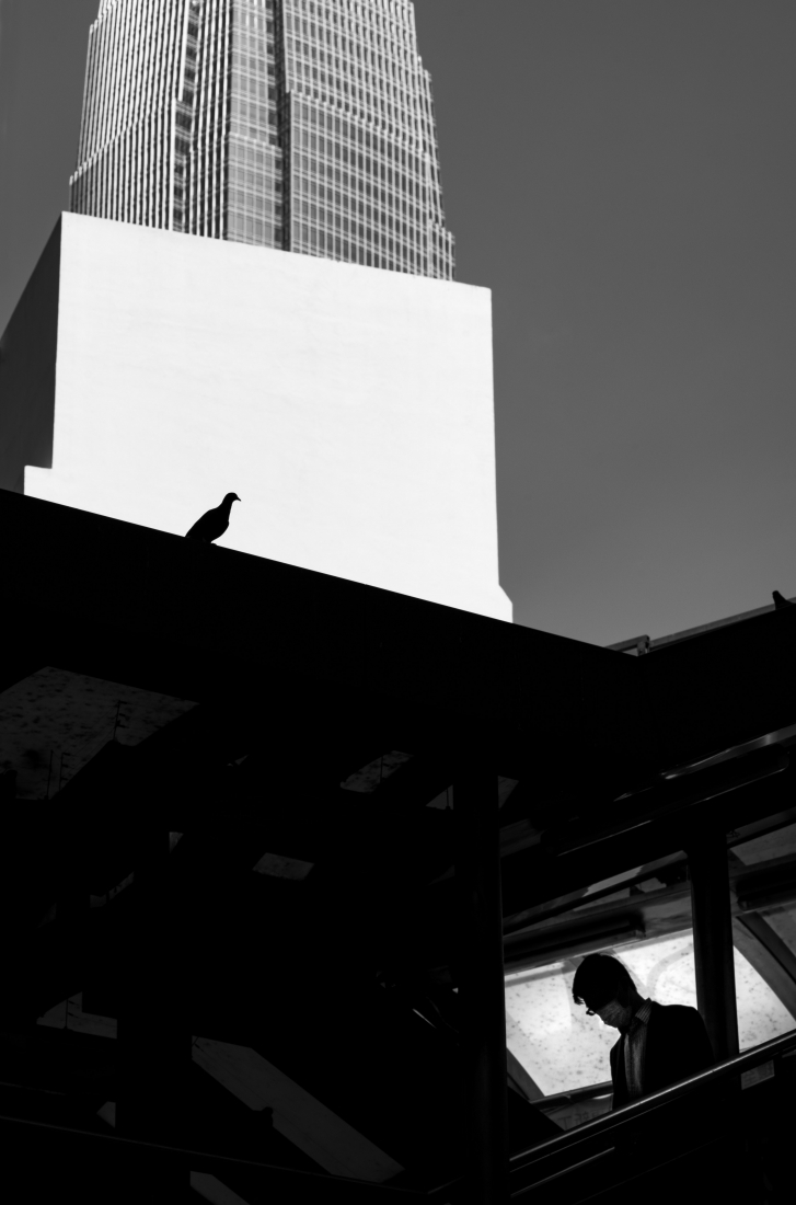 Geometric Hong Kong