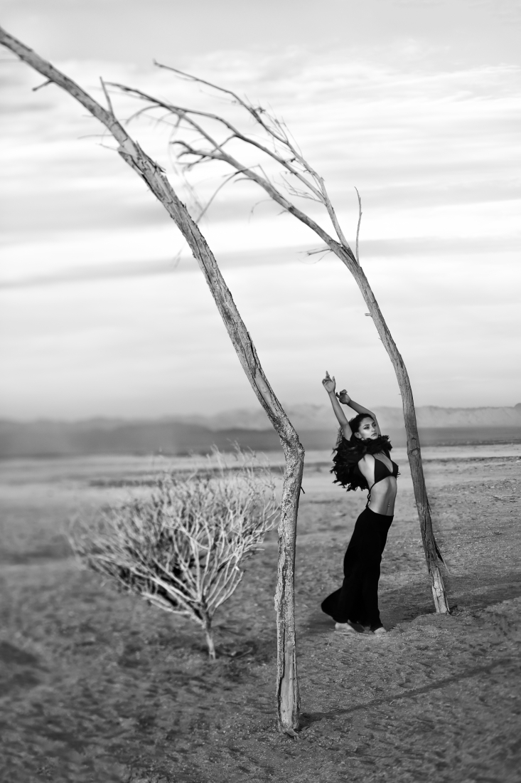 Salton Sea Wind Gale