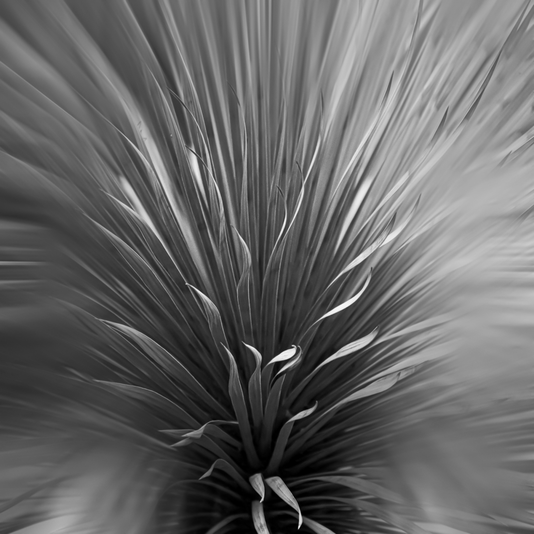 (untitled)