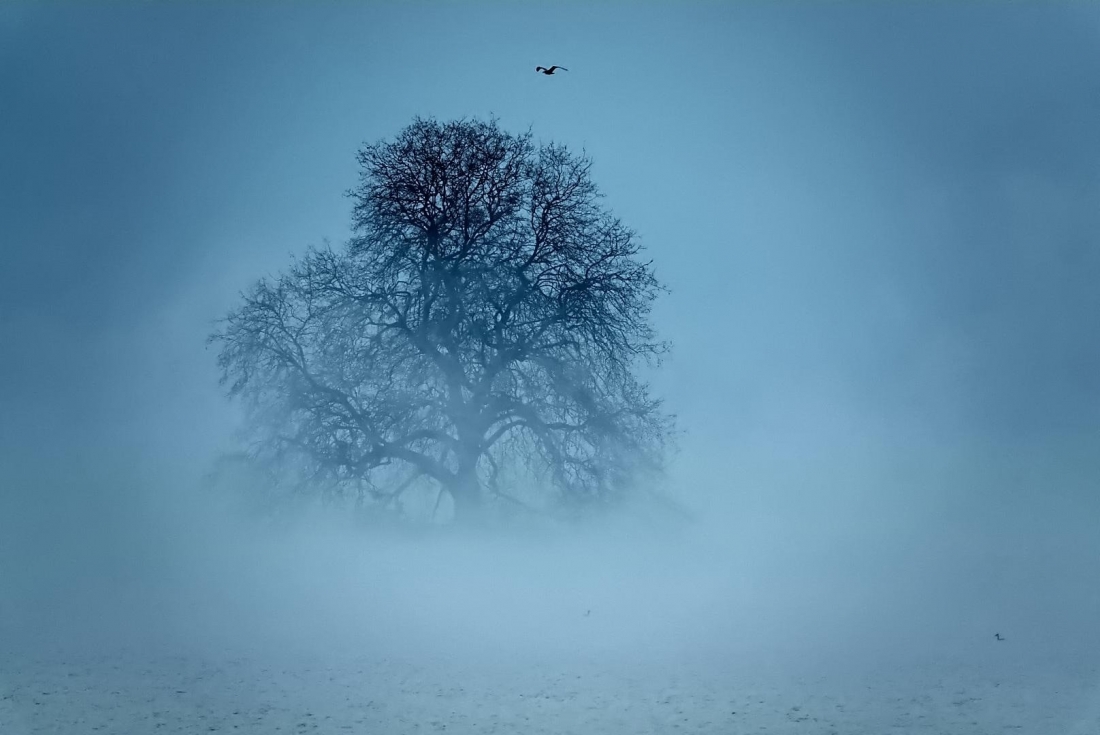 Melancholy 