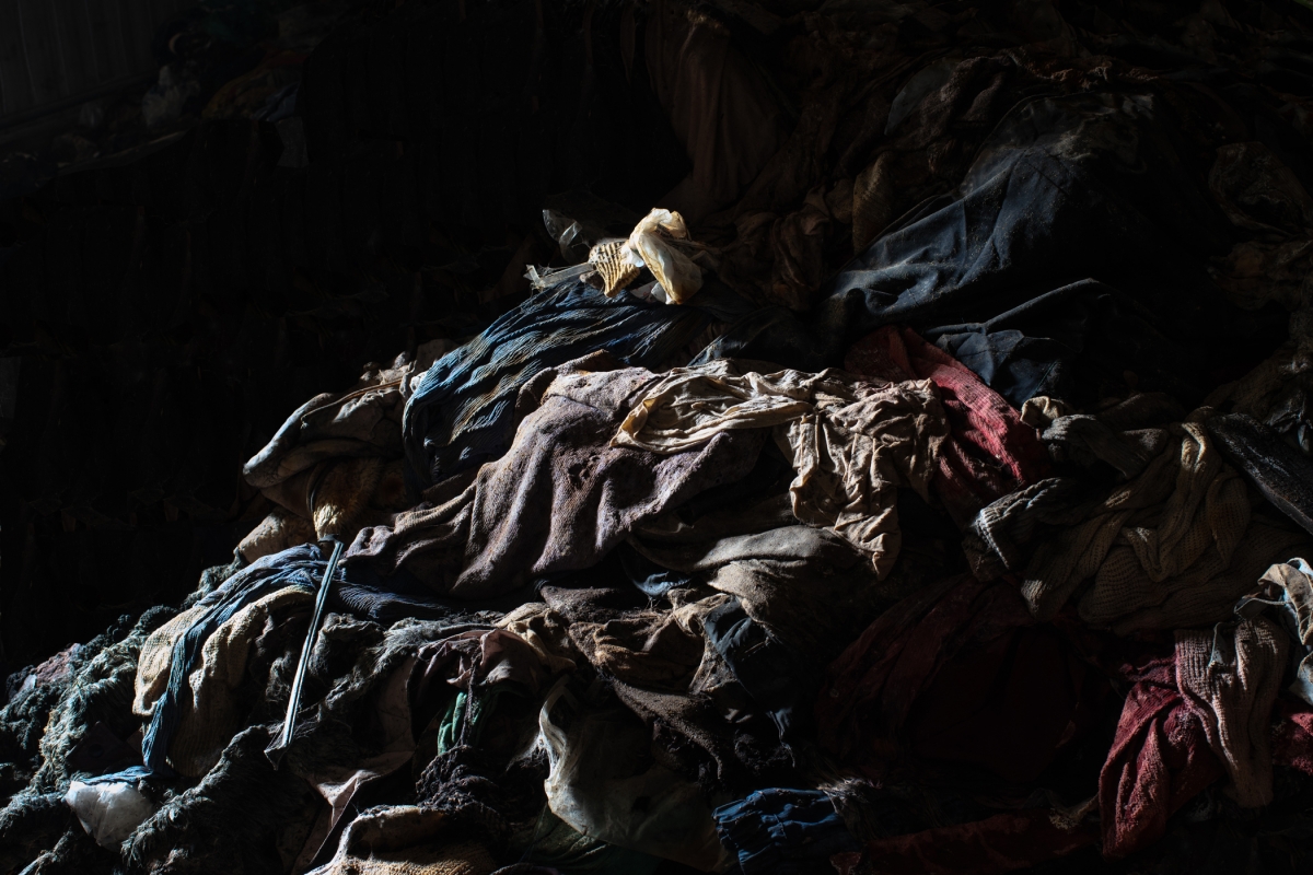 Still lifes XXL