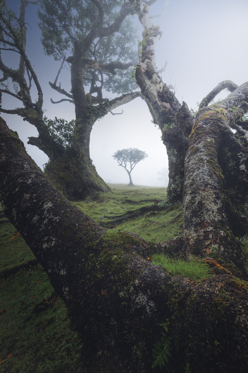 Natural Framework
