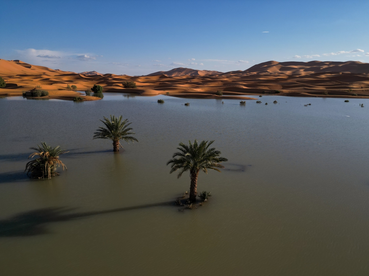Sahara desert flood