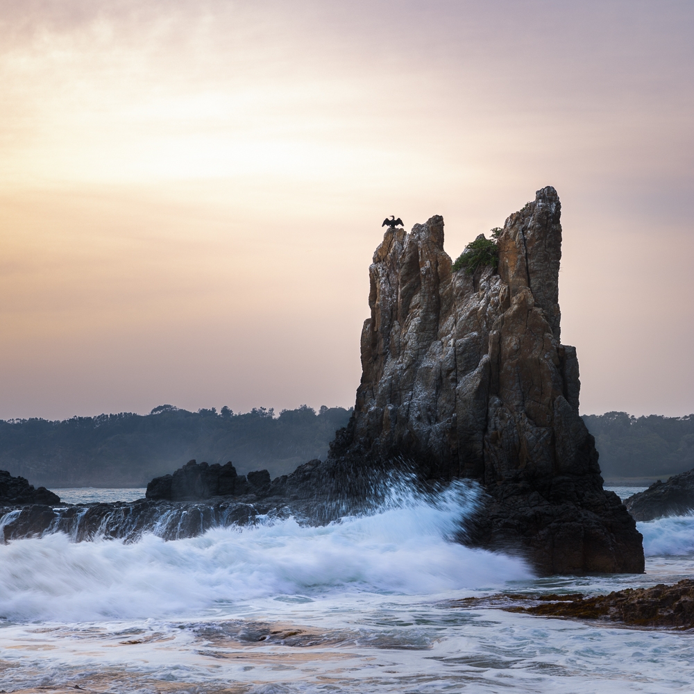 Morning at Cathedral Rocks